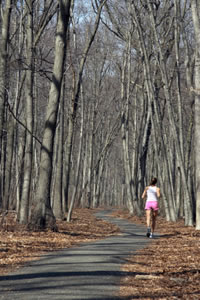 jogging in the woods